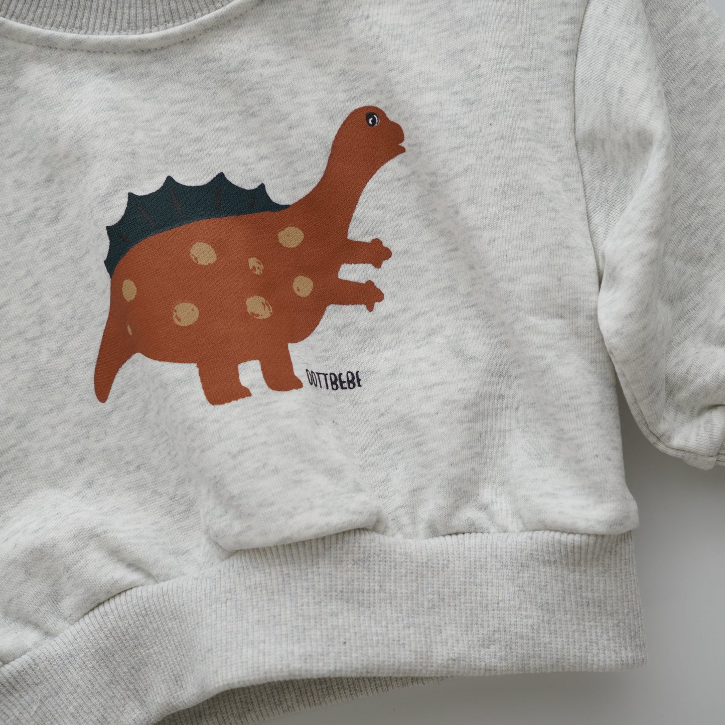 Dino Sweater